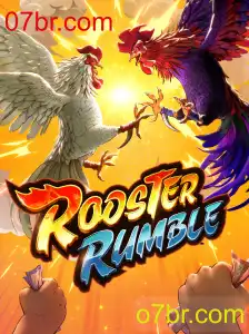 RoosterRumble: Um Mergulho no Fascinante Mundo dos Galliformes Competitivos